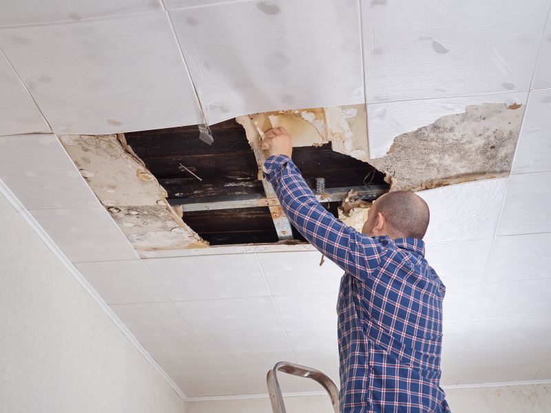 Apartment Ceiling Repair in Olathe, KS