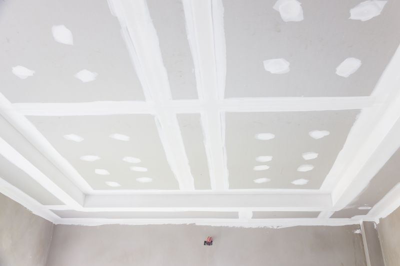 Ceiling Drywall Repair in Olathe, KS